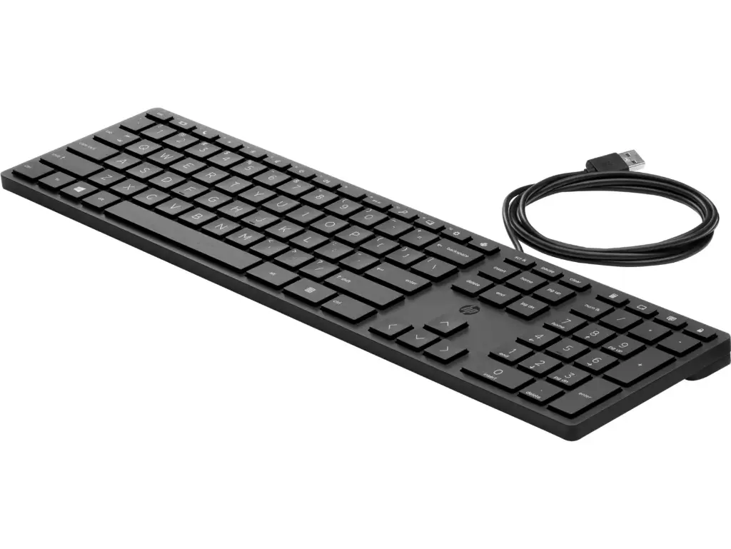 HP Wired Keyboard - Standard QWERTY USB